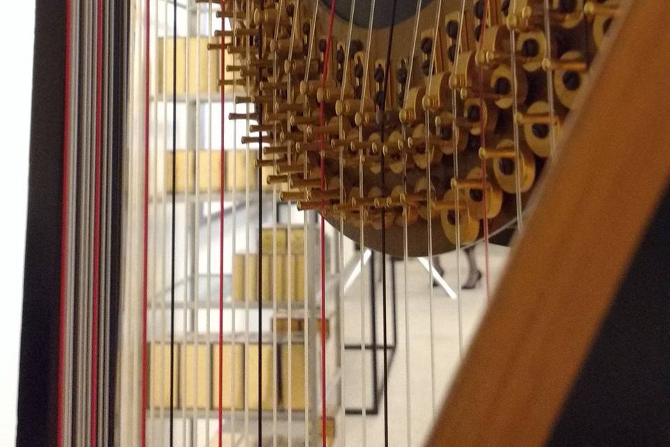 Chiara Turner Harpist
