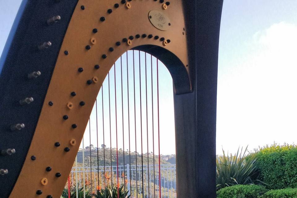 Chiara Turner Harpist