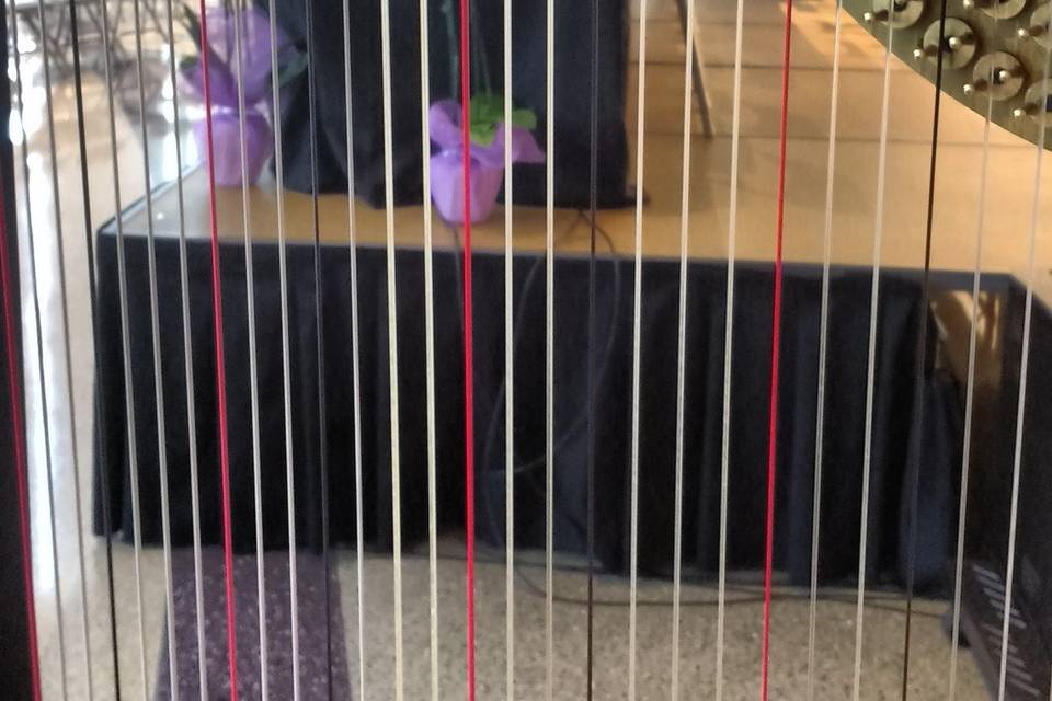 Chiara Turner Harpist