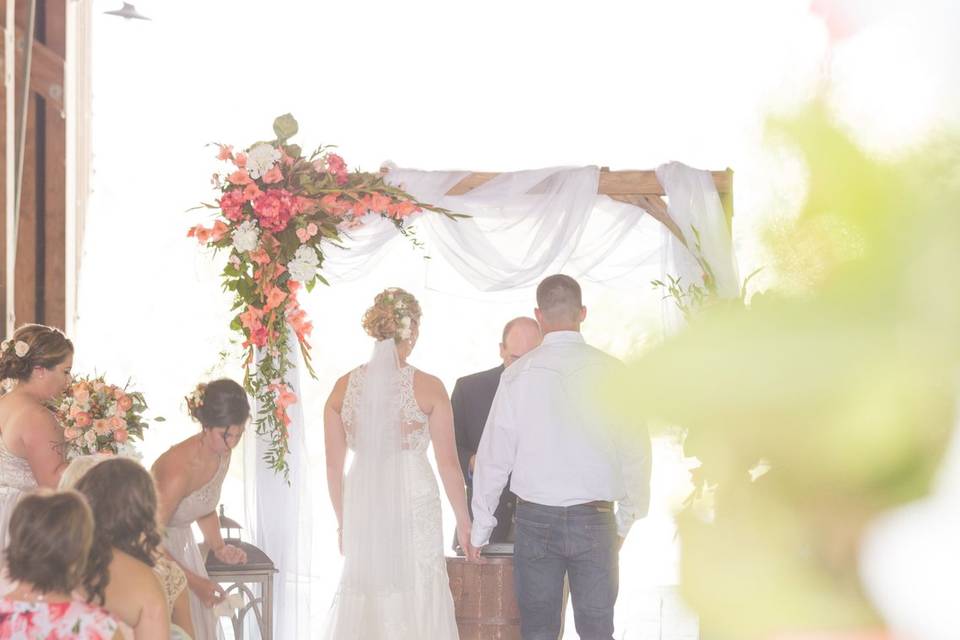 Alyse Chernovol Photography