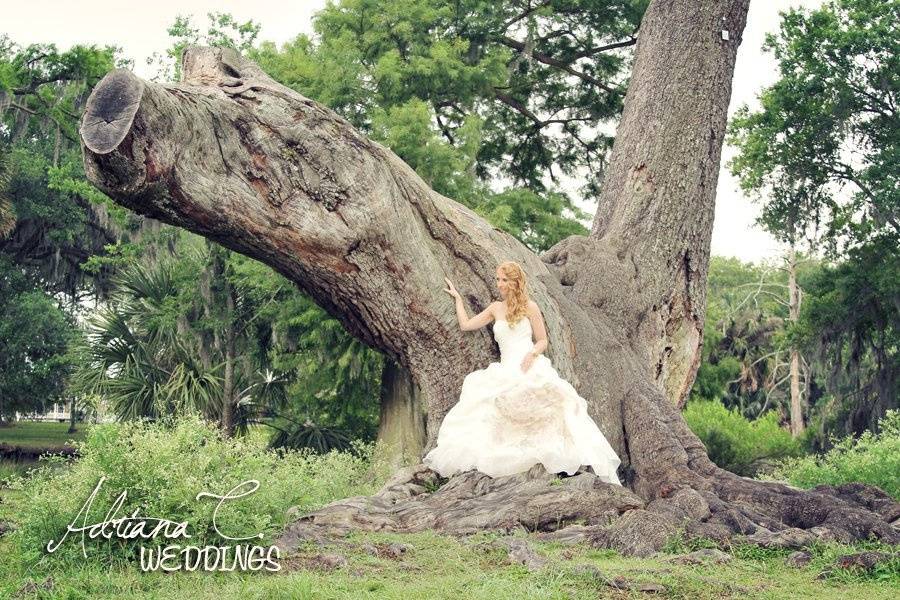 Adriana C. Photography
