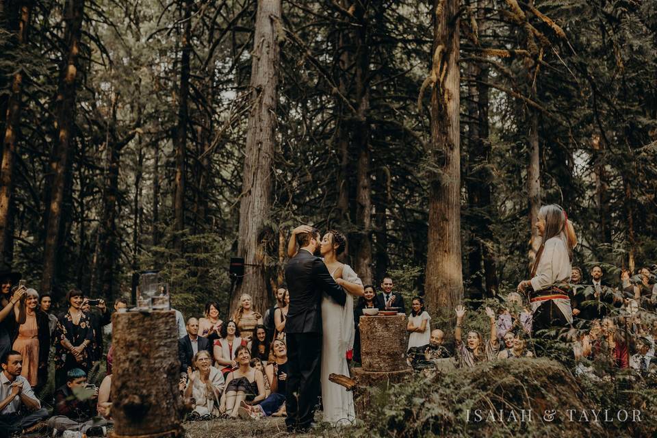 Forest wedding in September