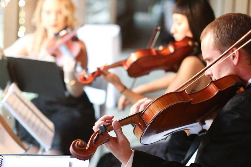 Organic String Quartet