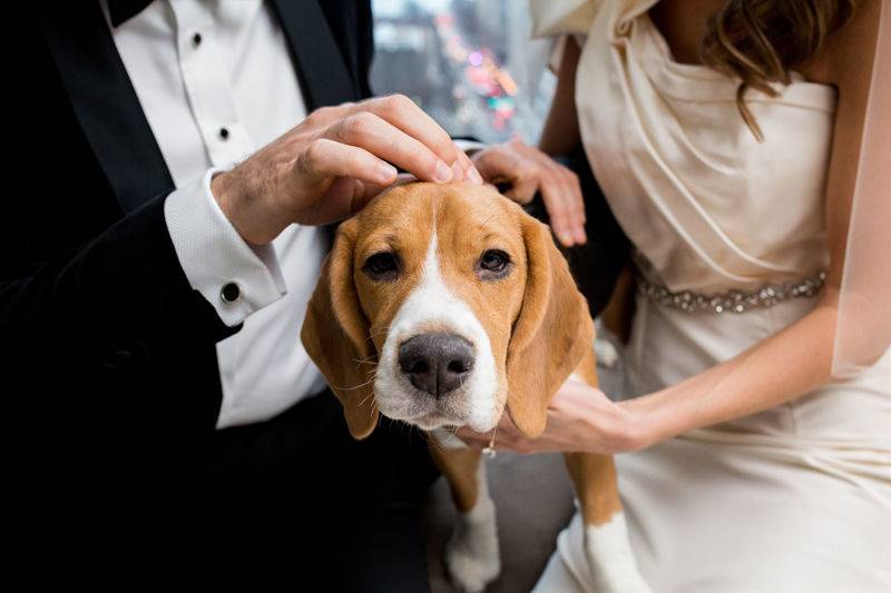 Brewery Wedding