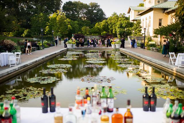 Lilly Pond
