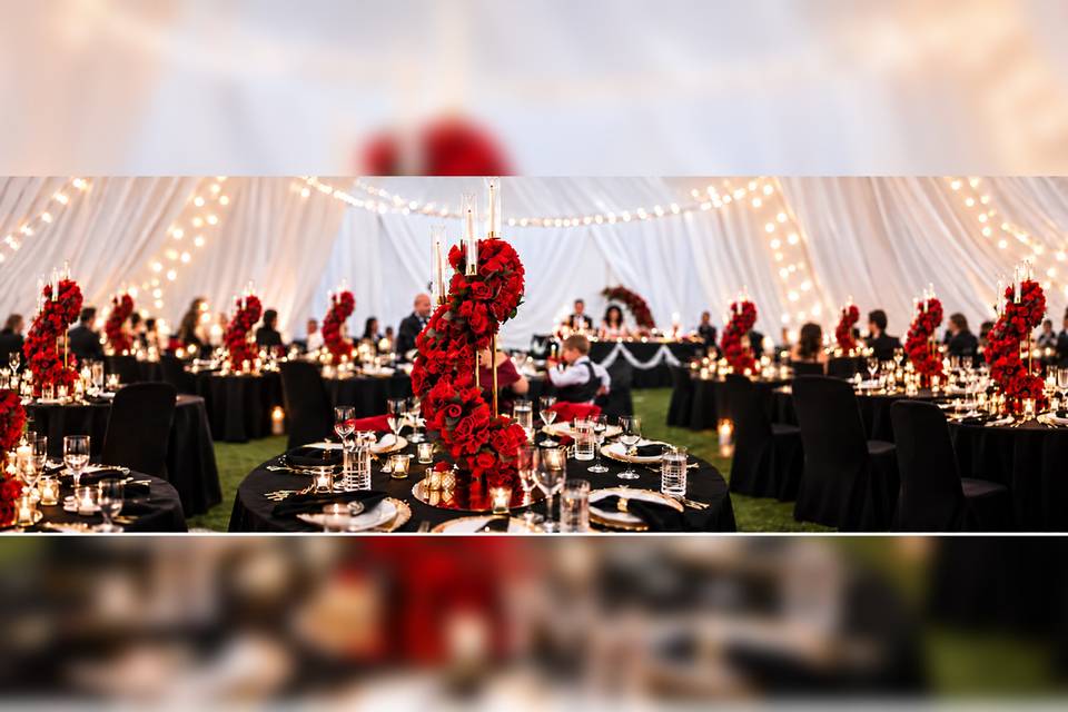 romantic_red_rose_tent_reception_WeddingPro_whole_image_3000x2000.jpg