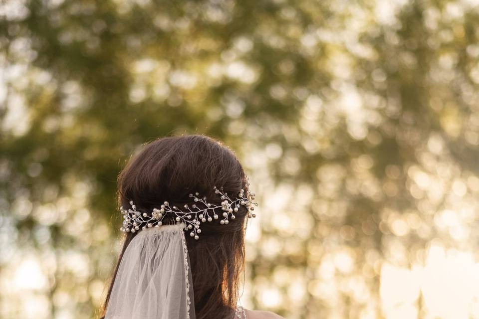 Brides veil