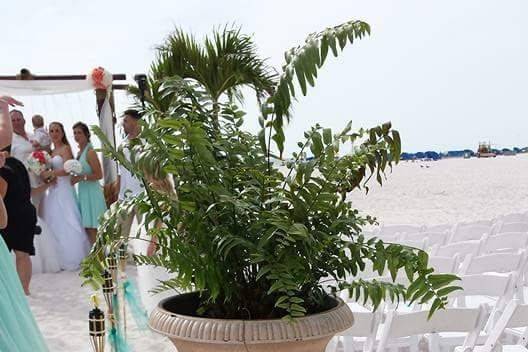 JD3 Beach Weddings & Events - Tampa Bay Beach Weddings w/JD3