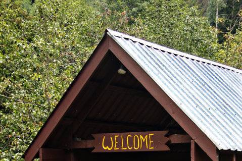 A covered bridge in the forest