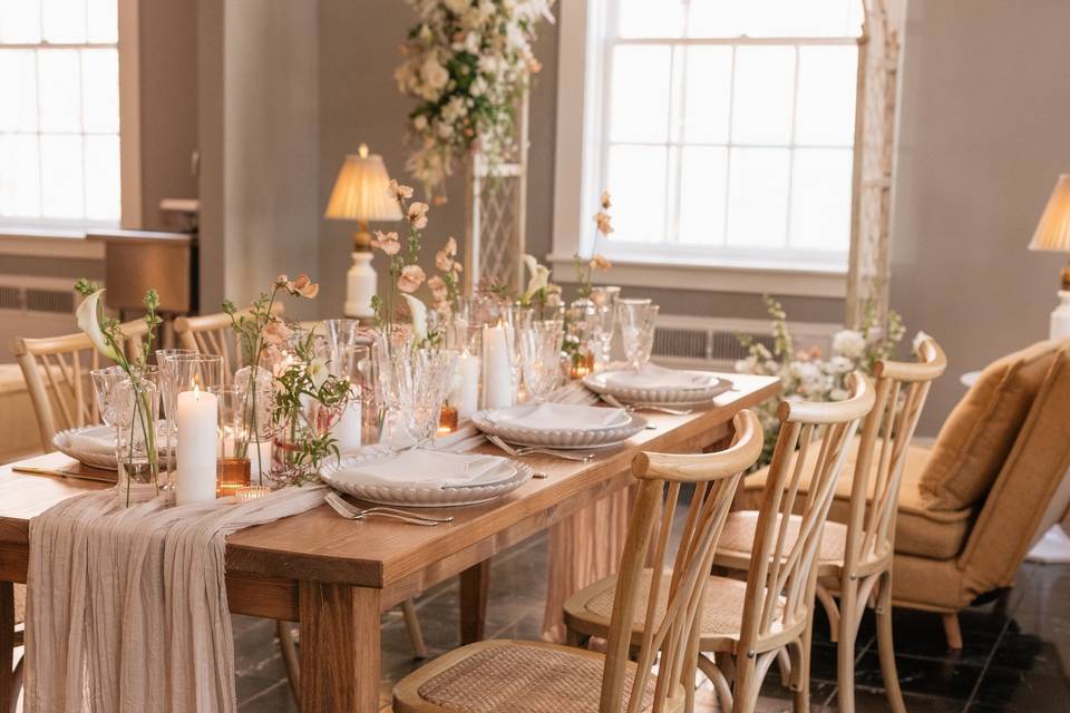 Amy Mitchell Photography