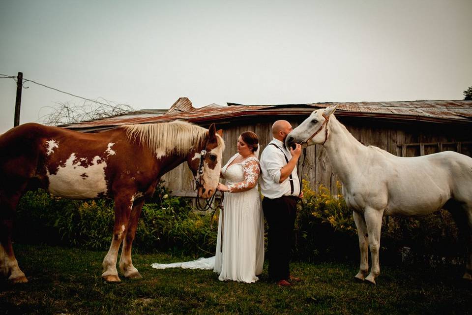 Horses and married people