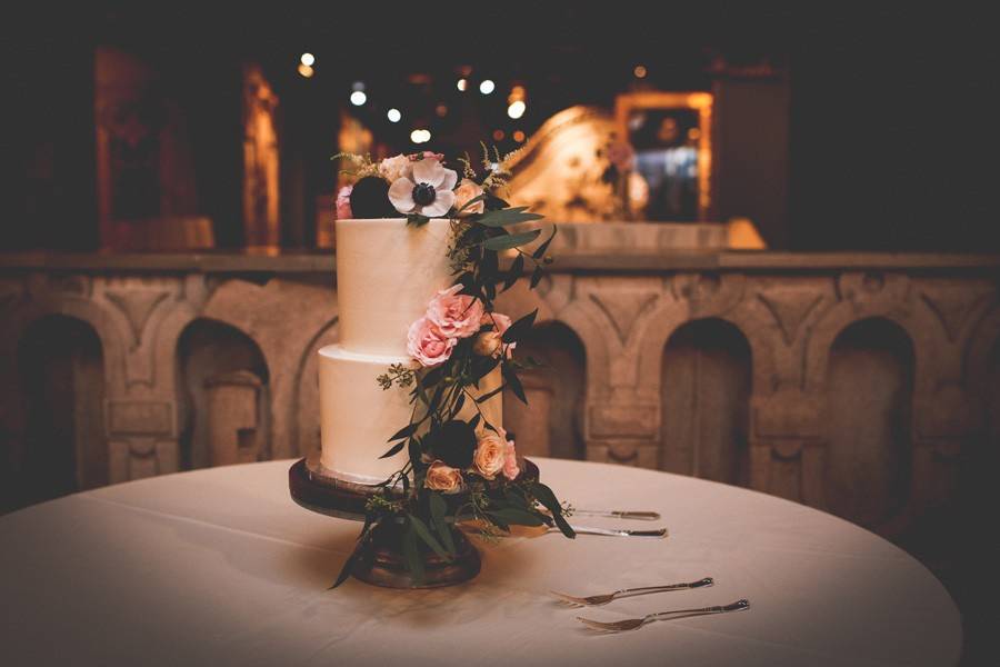 Fossil Photography cake