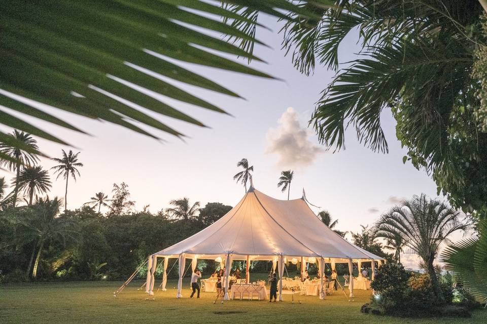 Loulu Palm Design + Planning