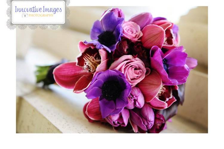 Innovative Images by Lisa