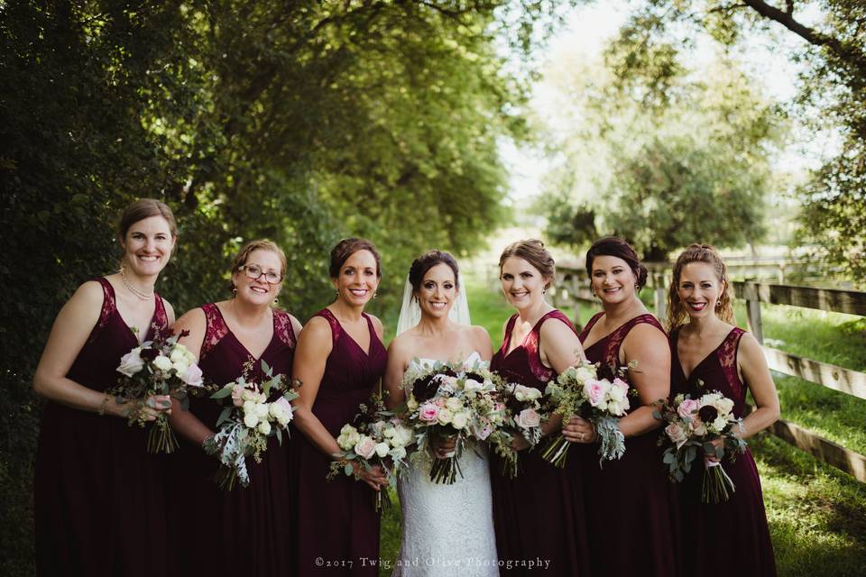 Bride with all the bridesmaids