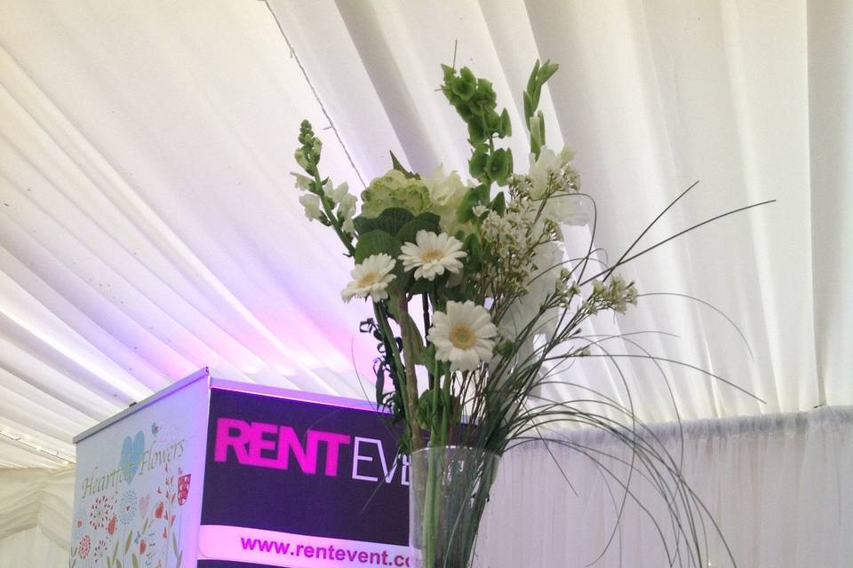 Rentevent chair cover and event hire