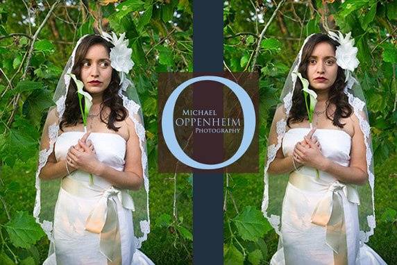 Michael Oppenheim Photography