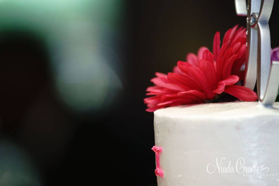 Niada Cradle Photography