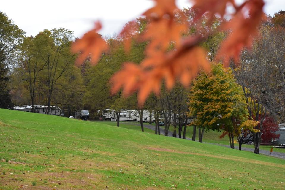 Fall Foliage