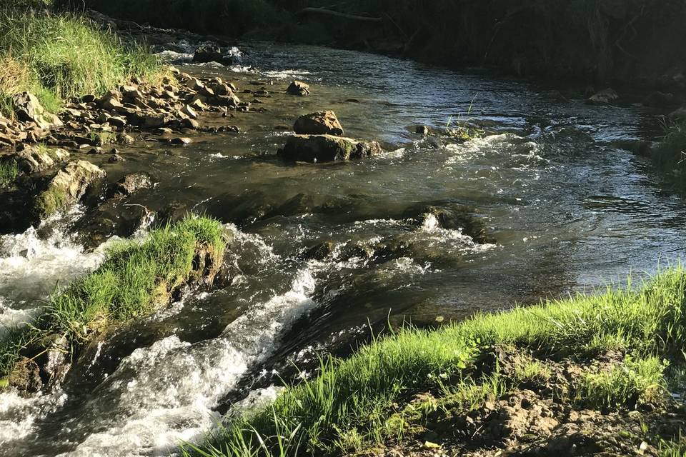 Bubbling Mill Creek