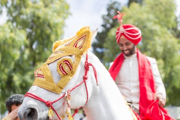 Hindu Baraat White Horse