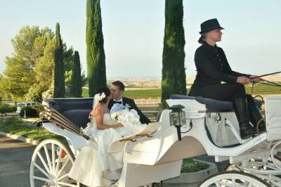 White Horse Carriage Co