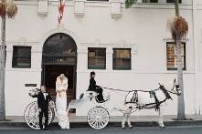 White Horse Carriage Co