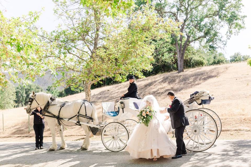 Carriage at Spanish Oaks