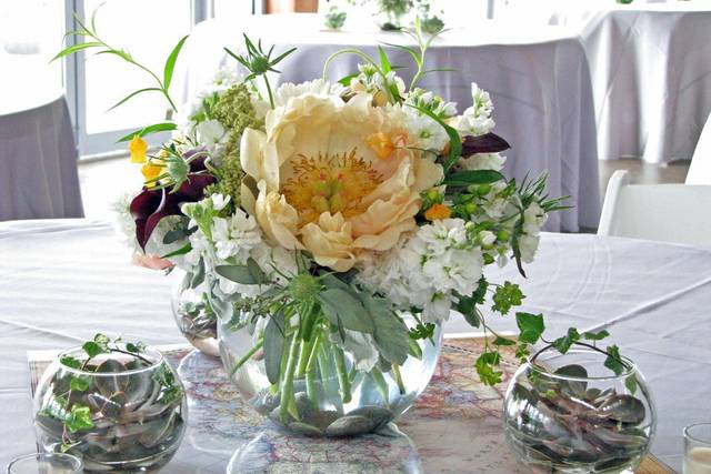 Beautiful bowls