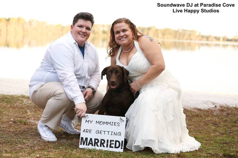 Dogs at wedding