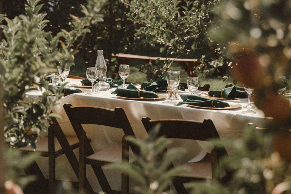 Orchard Feasting Table