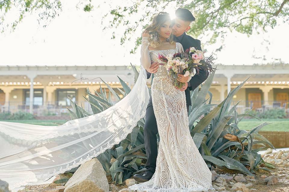 Las Vegas Desert Wedding