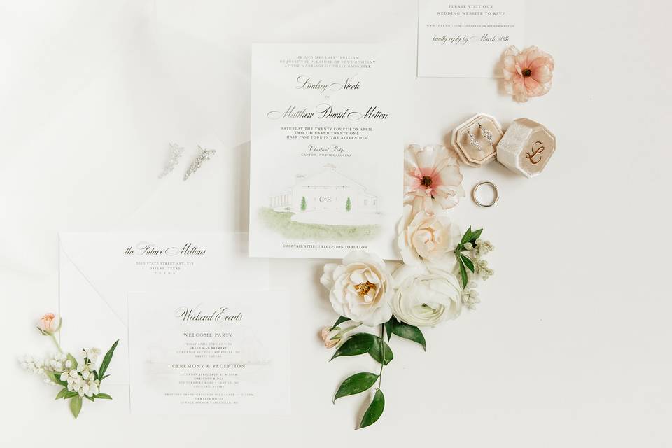 Illustrated Wedding Suite