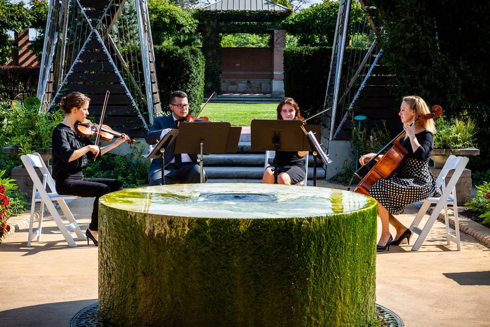 String quartet performing