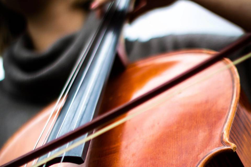 Cello up close