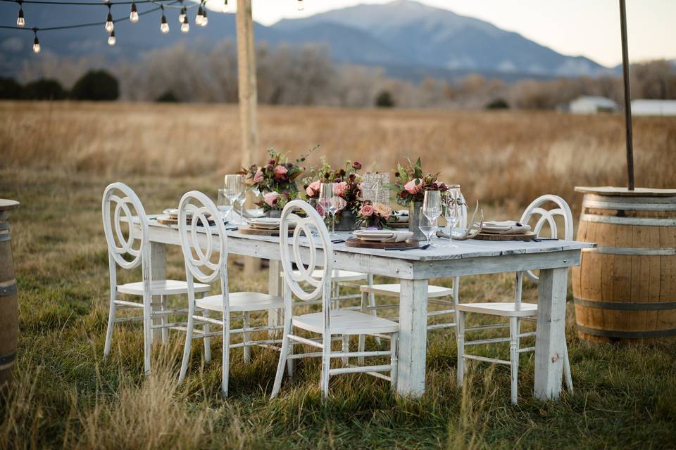 Dining in the meadow