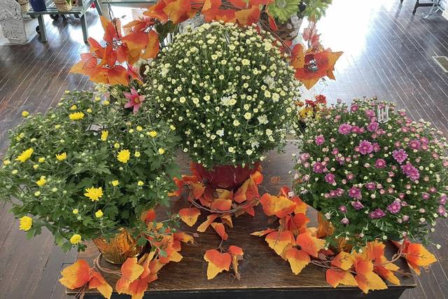 The Creative Flower Shop & Boutique