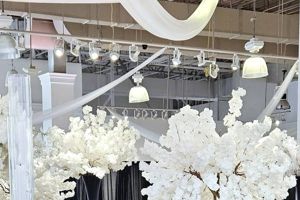 Wedding reception