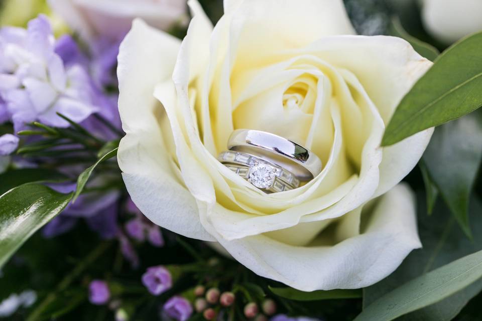 Wedding Rings in Rose