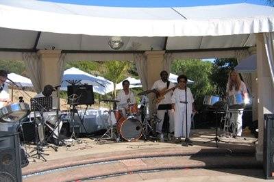 We have a wide variety of band sizes and configurations to accommodate any venue or situation. This is a seven-piece band performing reggae, soca, calypso, Jimmy Buffet and more!