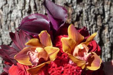 Clermont Florist