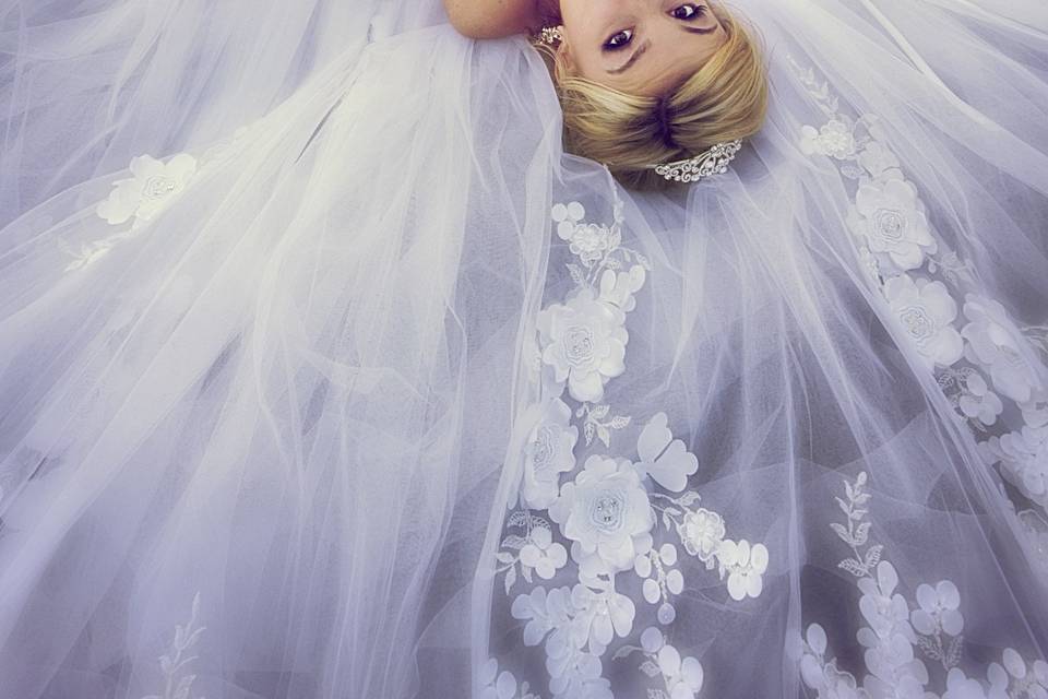 Albina Littles Detroit Wedding Photographer