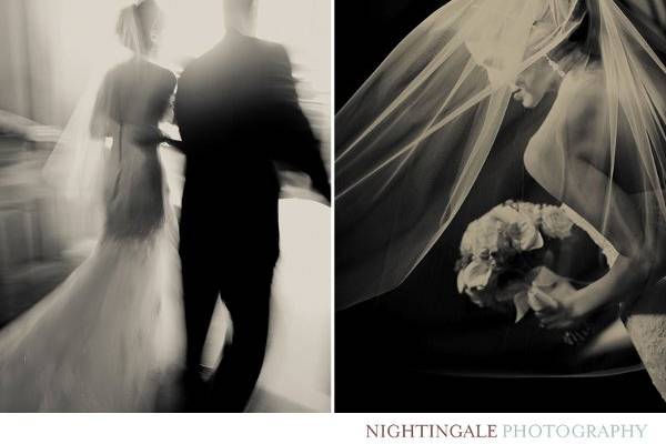 Nightingale Photography