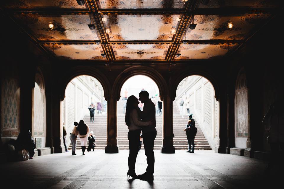 Central Park Engagement