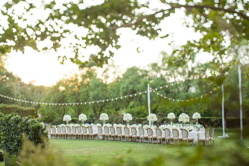 Long table setting