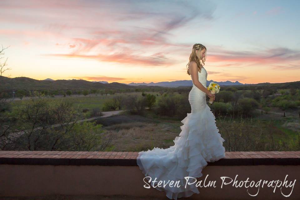 Steven Palm Photography