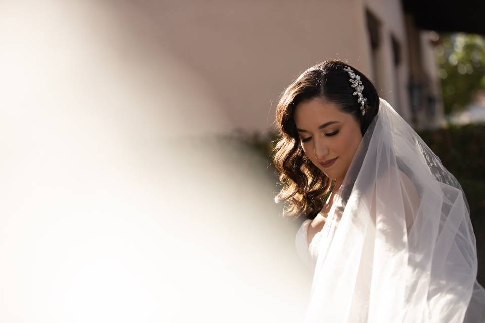 Bride with flowing veil