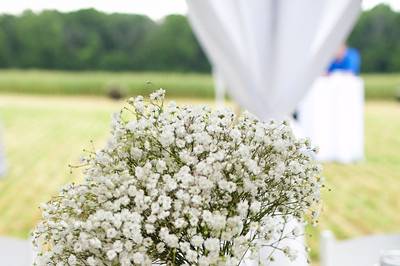 Cardinal Floral Design