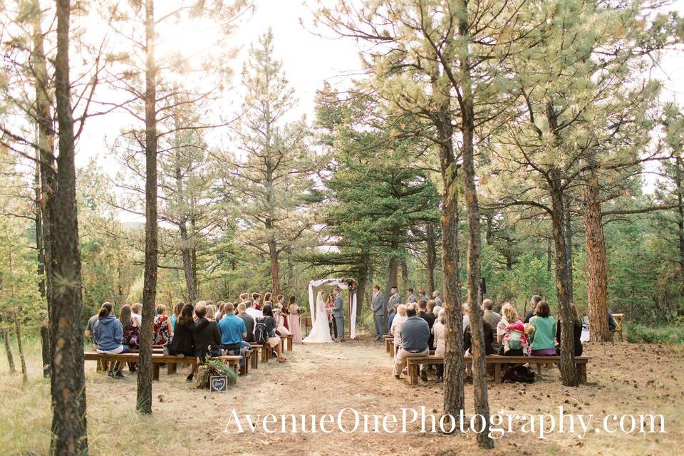 Woodland ceremony site