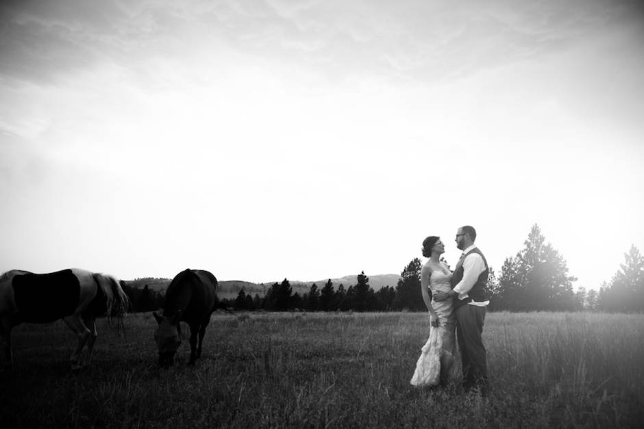 In the pasture